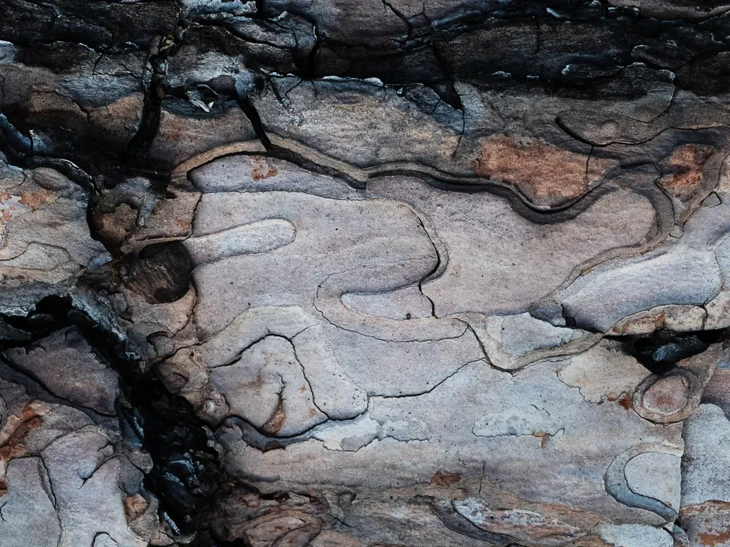 Nieoczywistosci