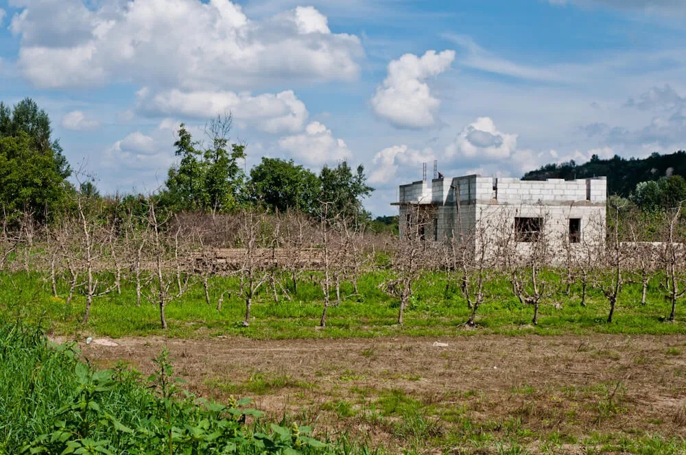 Wilków - zniszczone uprawy